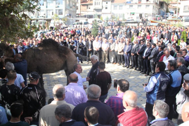Yağmur duasına &ccedil;ıkan vatandaşlar deve kurban etti