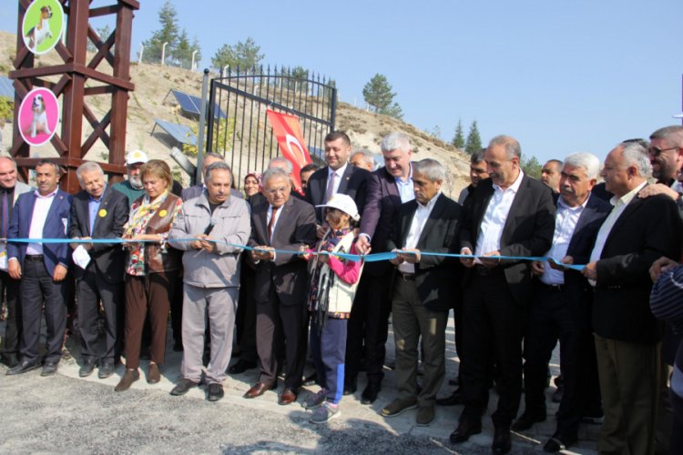 Kayadan oyma mağaralar, hayvan barınağına d&ouml;n&uuml;şt&uuml;r&uuml;ld&uuml;