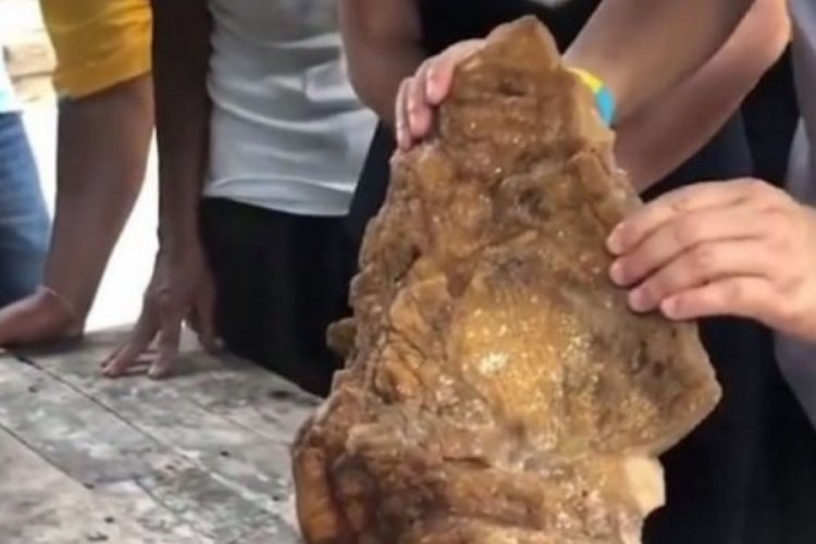 Balina kusmuğu ile zengin oldu