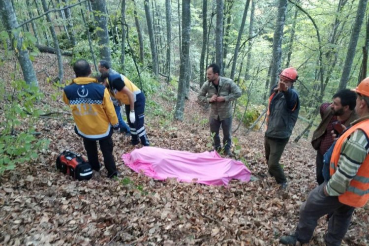 Bursa'da feci son! Kestiği ağacın altında kalan yaşlı adam &ouml;ld&uuml;