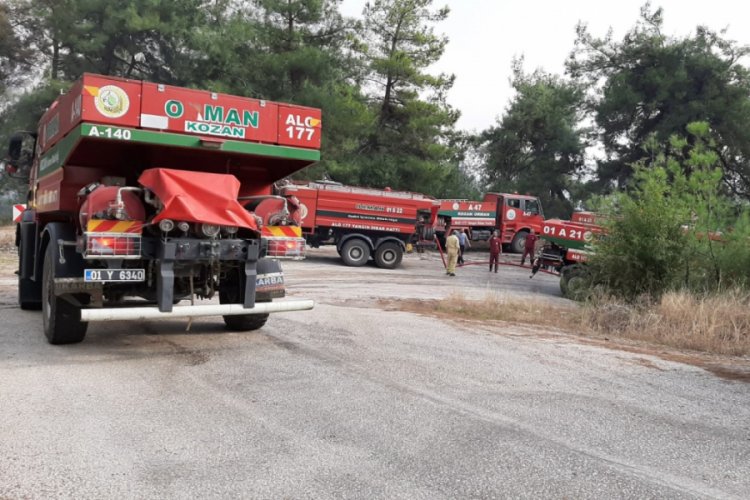 Osmaniye'de &ccedil;ıkan orman yangınında 3 hektar alan yandı