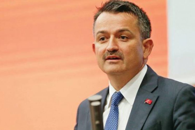 Bakan Pakdemirli duyurdu! 11 Kasım saat 11.11'de başlayacak