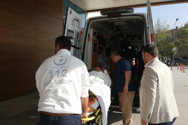 Bursa'da kestiği ağacın altında kaldı