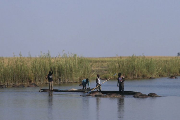 Araştırmacılara g&ouml;re modern insanların anavatanı Botsvana