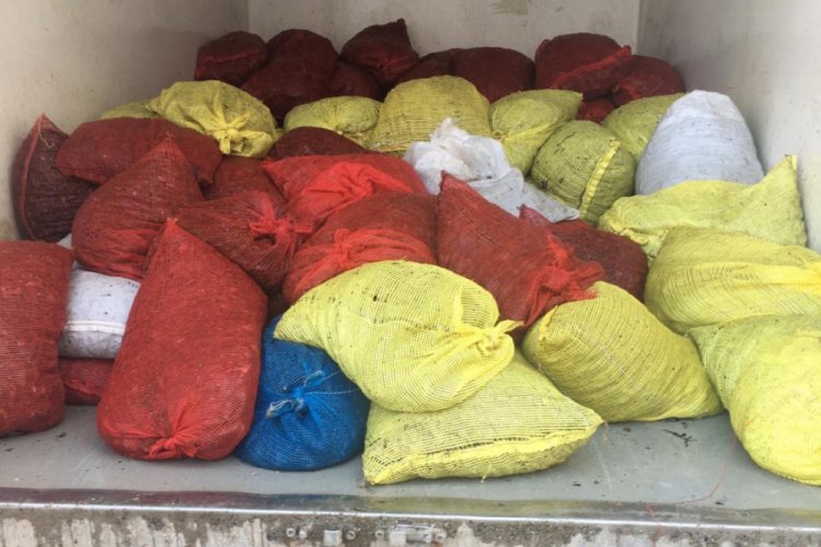 1 ton beyaz kum midyesi ele ge&ccedil;ildi