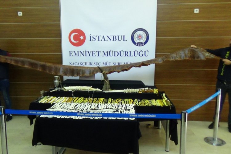 Ka&ccedil;ak&ccedil;ılık operasyonunda gergedan boynuzu, piton yılanı derisi ve fil dişi ele ge&ccedil;irildi