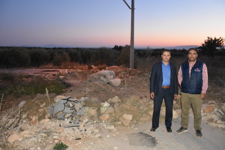 'Tapulu arazim' deyip asfaltın ortasına zeytin fidanı dikti
