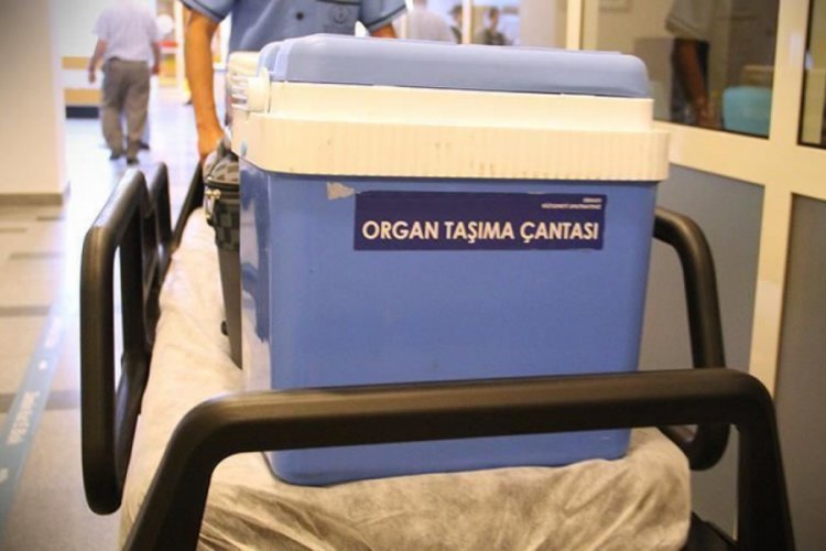 T&uuml;rkiye'den d&uuml;nyaya organ nakli eğitimi