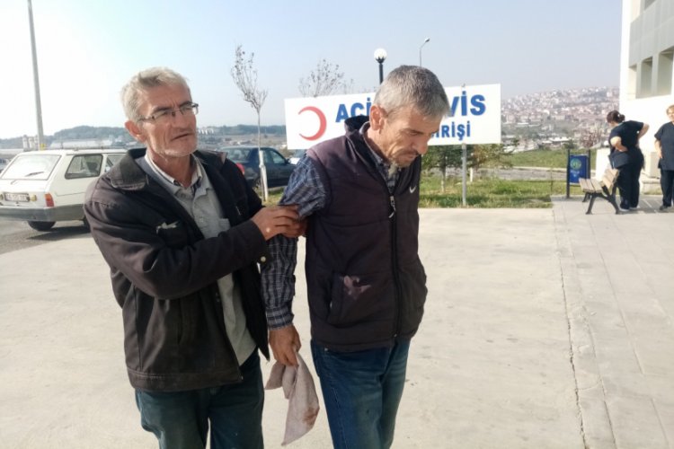Kestiği ağa&ccedil; dalı başına d&uuml;şt&uuml;