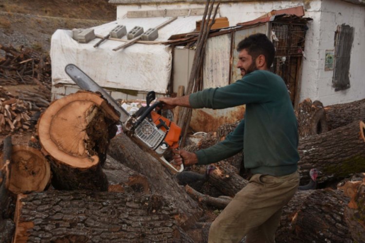 Doğal gaz odun satışını yarı yarıya d&uuml;ş&uuml;rd&uuml;