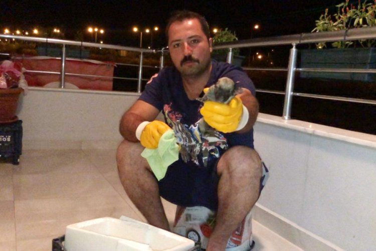 &Ccedil;&ouml;pte bulduğu yavru k&ouml;peği biberonla besliyor