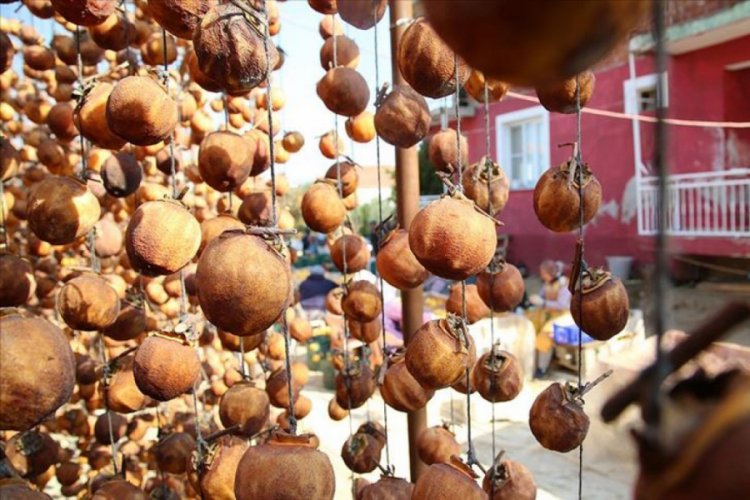 Cennet hurmasını kurutup geliri katladılar