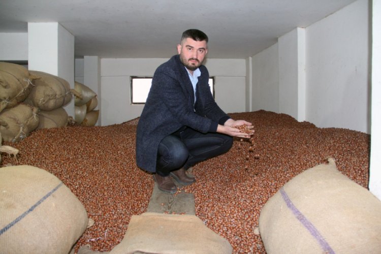 Fındık fiyatı 20 liraya koşuyor