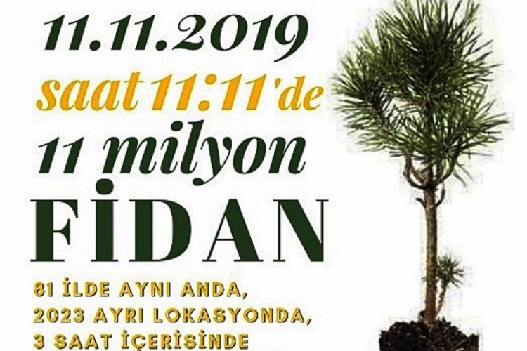 Milyonlarca fidan toprakla buluşacak