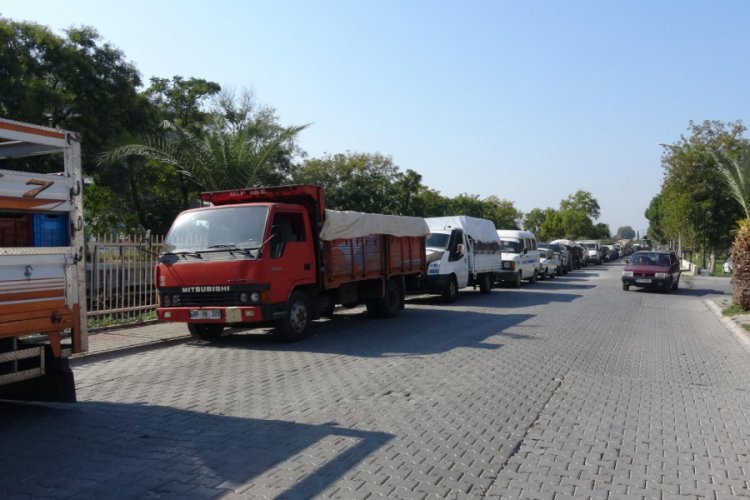 TMO'ya incir teslim etmek isteyen &uuml;reticiler yoğunluk oluşturdu