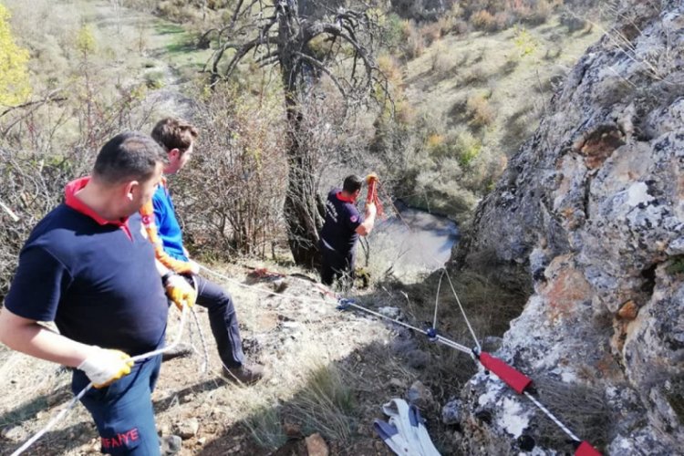 U&ccedil;urumda mahsur kalan ke&ccedil;ileri itfaiye kurtardı