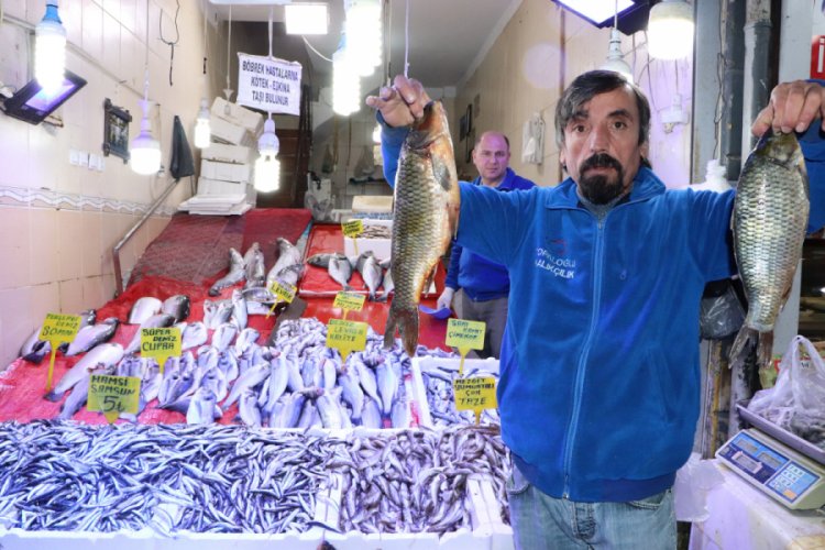 Kilosu 5 liraya d&uuml;şen hamsi kapış kapış