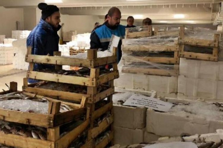 Boy yasağına uymayan tonlarca balığa el koyuldu