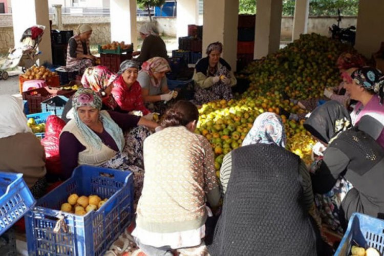 Denemek i&ccedil;in kuruttular, şimdi siparişlere yetişemiyorlar