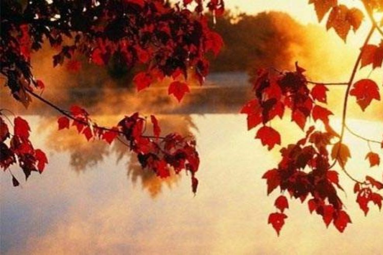 Bursa'da bug&uuml;n ve yarın hava durumu nasıl olacak? (02 Kasım 2019 Cumartesi)