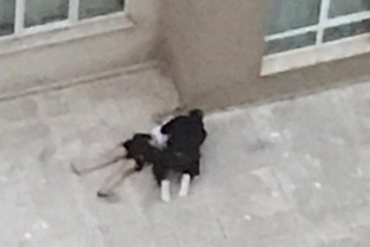 Bursa'da 4. kattan d&uuml;şen sevgilisinin başında ağlayan gen&ccedil; beraat etti