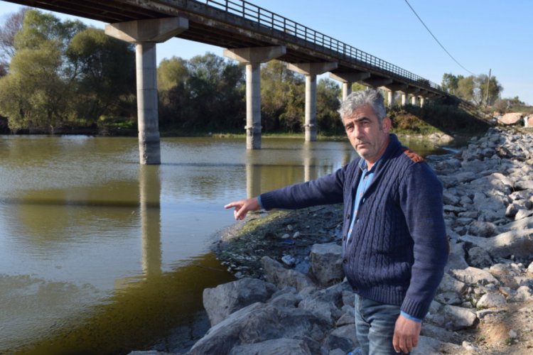 Bursa Mustafakemalpaşa'daki balık ölümleri sürüyor