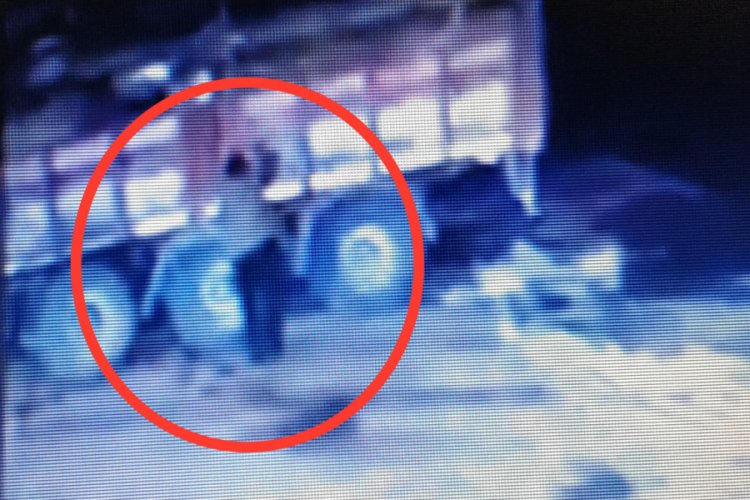 &Uuml;zerine kamyondan tomruk d&uuml;şen şof&ouml;r hayatını kaybetti