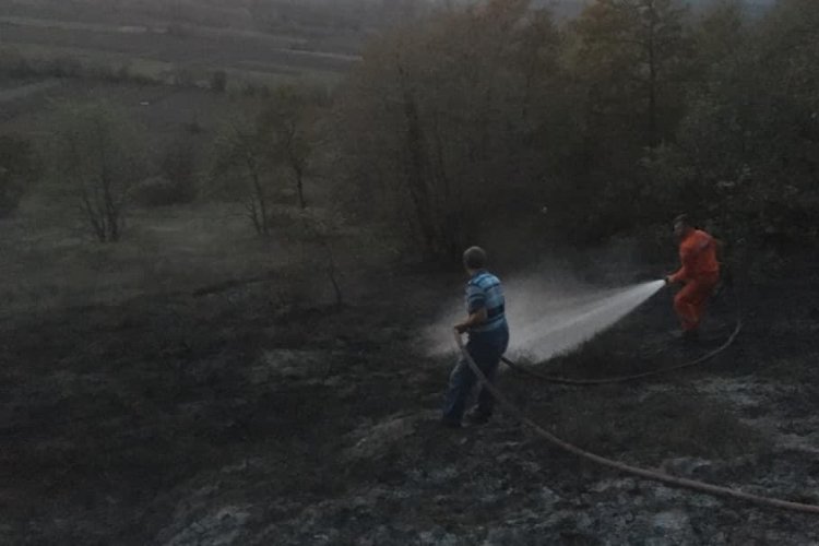 Ormanlık alanda &ccedil;ıkan yangın s&ouml;nd&uuml;r&uuml;ld&uuml;