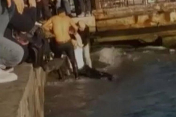 Beşiktaş'taki &ouml;zel halk otob&uuml;s&uuml; dehşetinin g&ouml;r&uuml;nt&uuml;leri ortaya &ccedil;ıktı