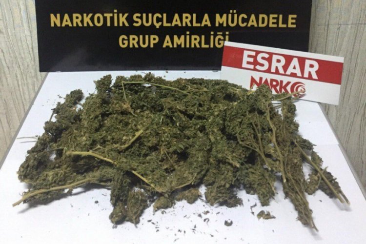 Polis 1 ayda 249 uyuşturucu tacirini yakaladı
