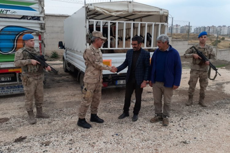 Bing&ouml;l'de &ccedil;alınan hayvanlar Diyarbakır'da bulundu