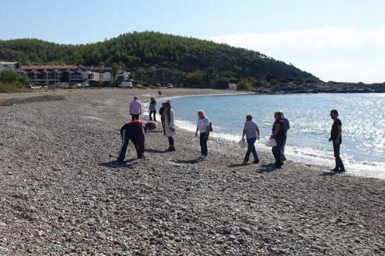 Kedilerin &ouml;l&uuml;m&uuml;nden sonra sahilde balon balığı aradılar