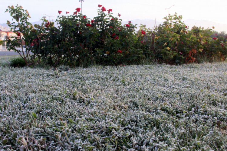 Doğu Anadolu'da soğuk hava etkisini artırdı