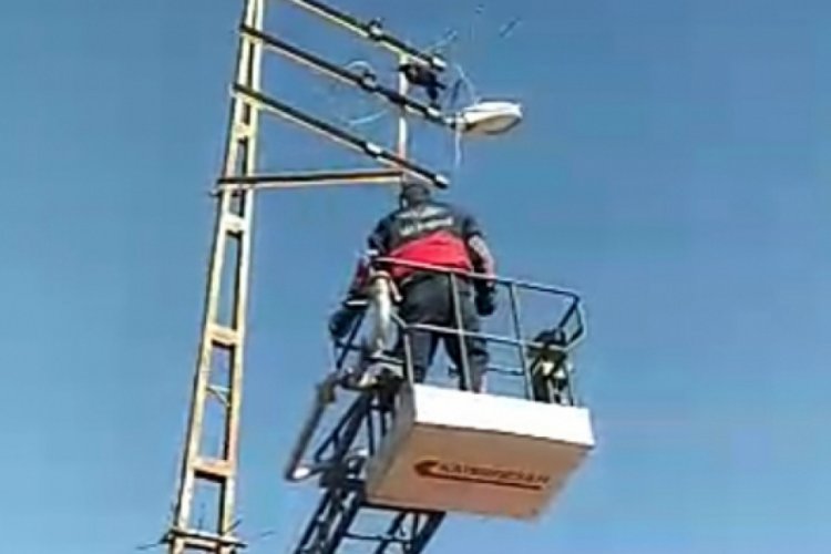 Elektrik tellerine takılan Karga'yı itfaiye ekipleri kurtardı