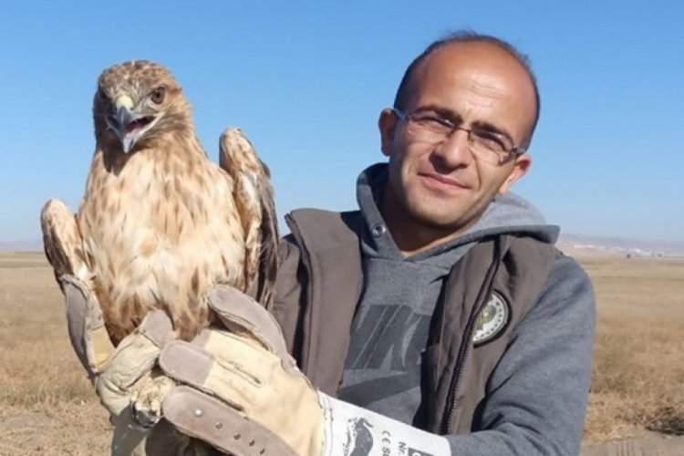Kızıl Şahin tekrar &ouml;zg&uuml;r