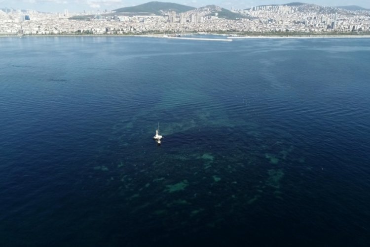 İstanbul'un batan adası; Vordonisi