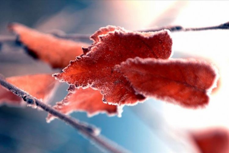 Ardahan ve Kars'ta sıcaklık eksi 9 dereceyi g&ouml;rd&uuml;