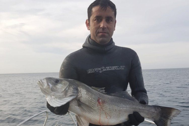 Zıpkınla 6,5 kiloluk levrek yakaladı