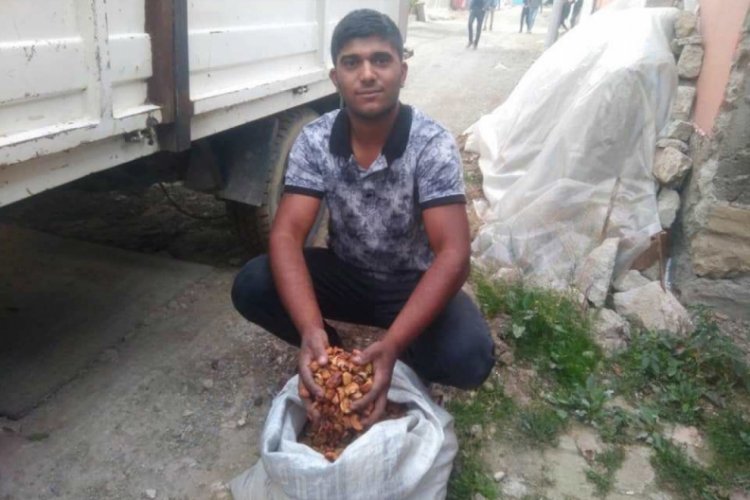 Elma kurusu fiyatları 4,5 TL'ye y&uuml;kseldi