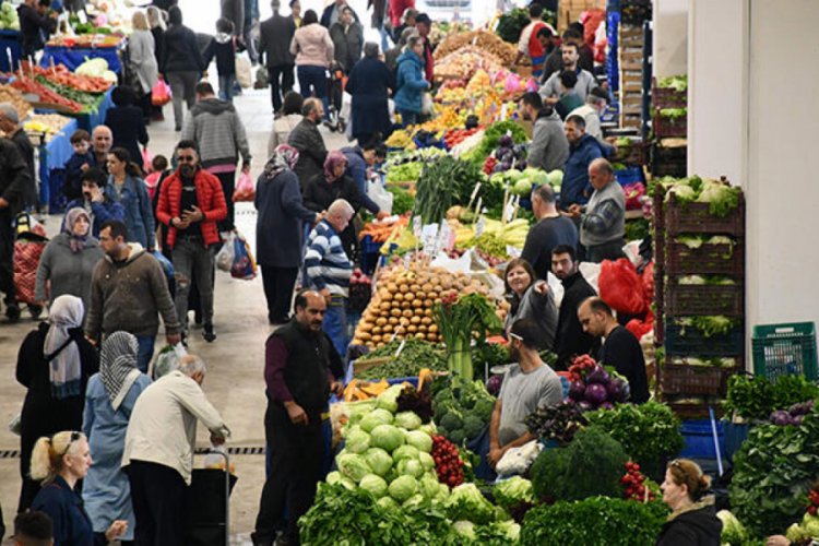 Ispanağın kilosu 4 liradan 2 liraya d&uuml;şt&uuml;!