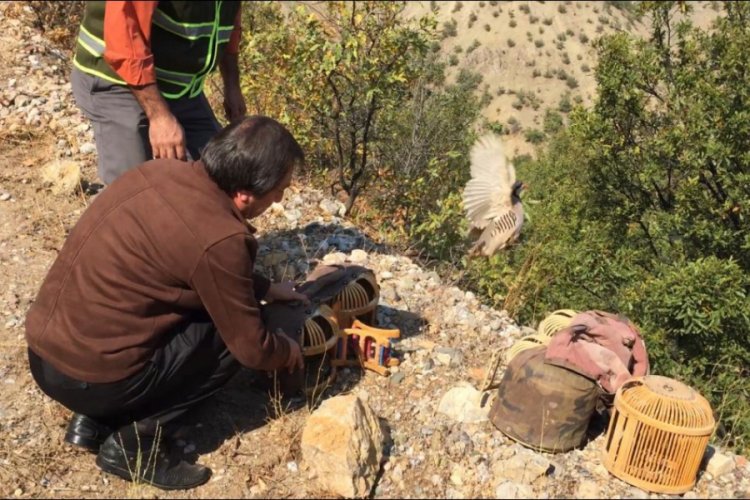 Tunceli'de ka&ccedil;ak avlanan 36 kişiye 55 bin lira ceza