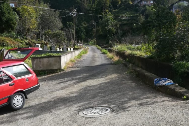 El frenini &ccedil;ekmeyi unutunca kazaya sebep oldu