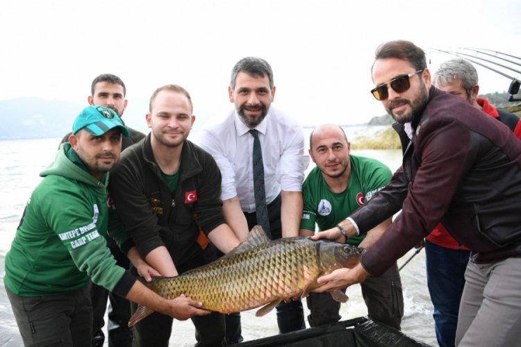 Avlanan 13 kiloluk sazanı g&ouml;le bıraktılar