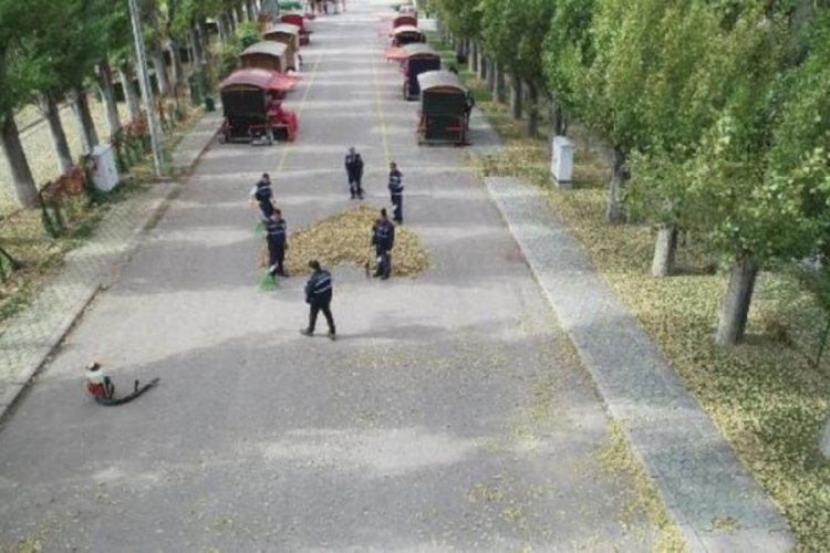 Temizlik iş&ccedil;ileri, d&ouml;k&uuml;len yapraklarla kalp yaptılar