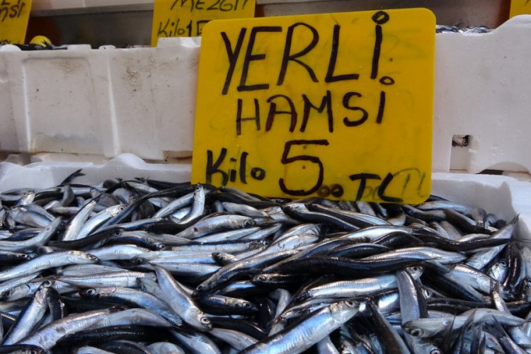 Hamsi 5 liraya d&uuml;şt&uuml;, vatandaşlar balık&ccedil;ılara akın etti
