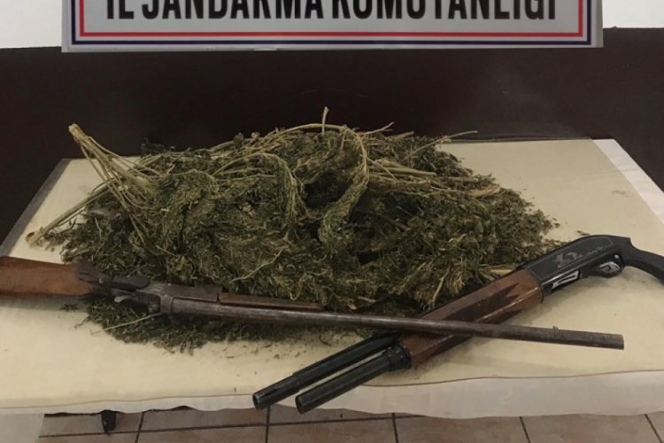 Erzincan'da esrar ve ruhsatsız t&uuml;fekler ele ge&ccedil;irildi
