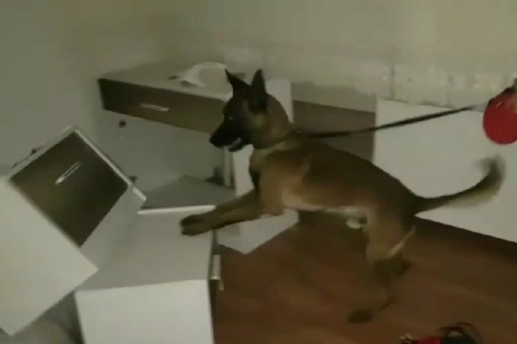 Uyuşturucu tacirlerine operasyon: 4 g&ouml;zaltı