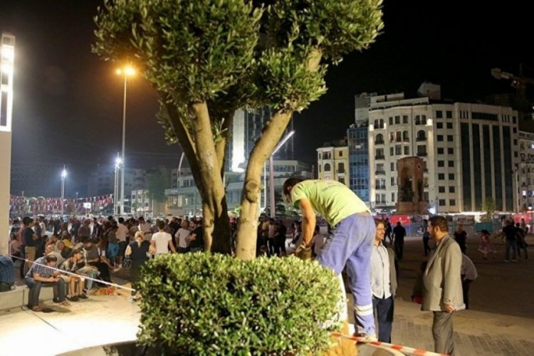 11 Kasım 'Milli Ağa&ccedil;landırma G&uuml;n&uuml;' ilan edildi