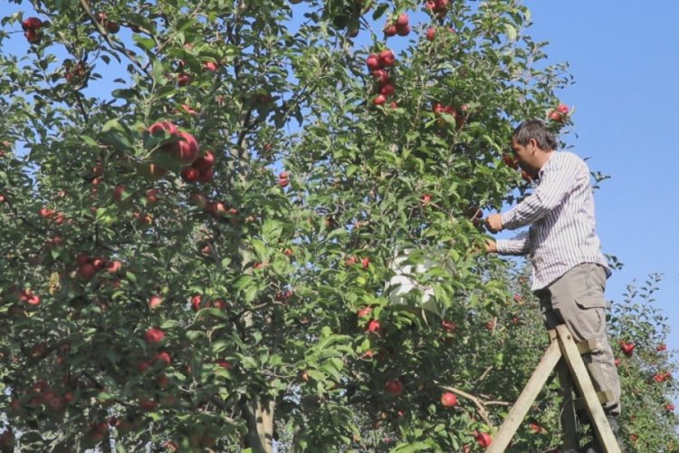 Bursalı &ccedil;ift&ccedil;ilerden sınırındaki m&uuml;lteci kamplarına TIR dolusu meyve