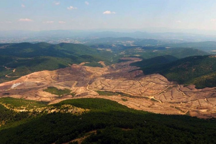 "Kaz Dağları'nda 347 bin ağa&ccedil; kesildi"